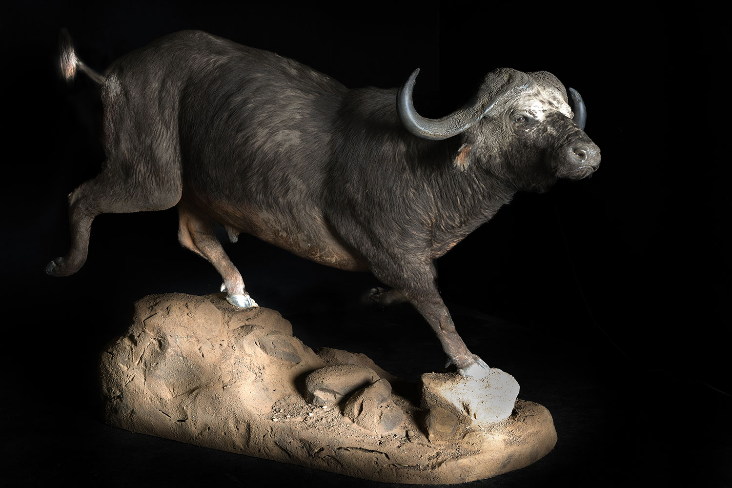 full-mounts30