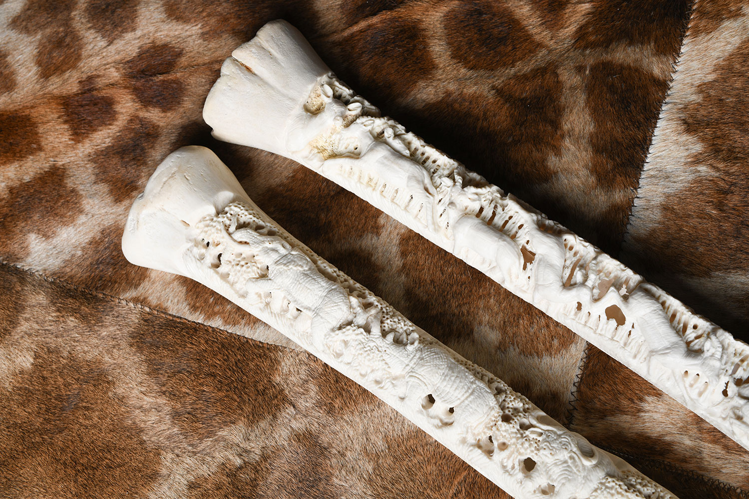 ornamental-skins30