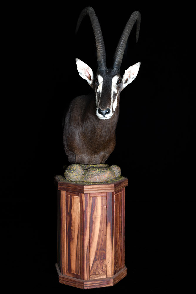 pedestal-mounts25