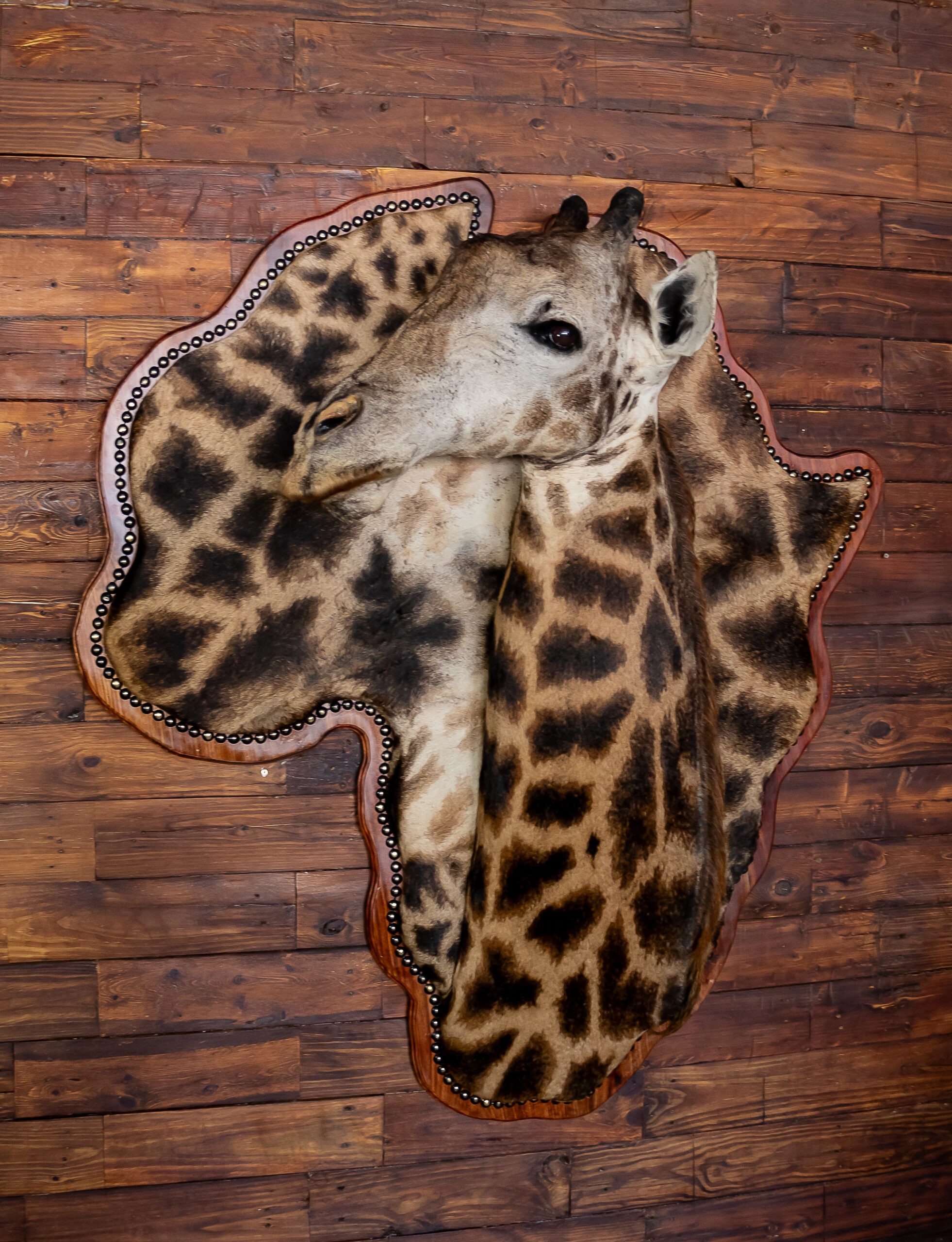3d-mounts3