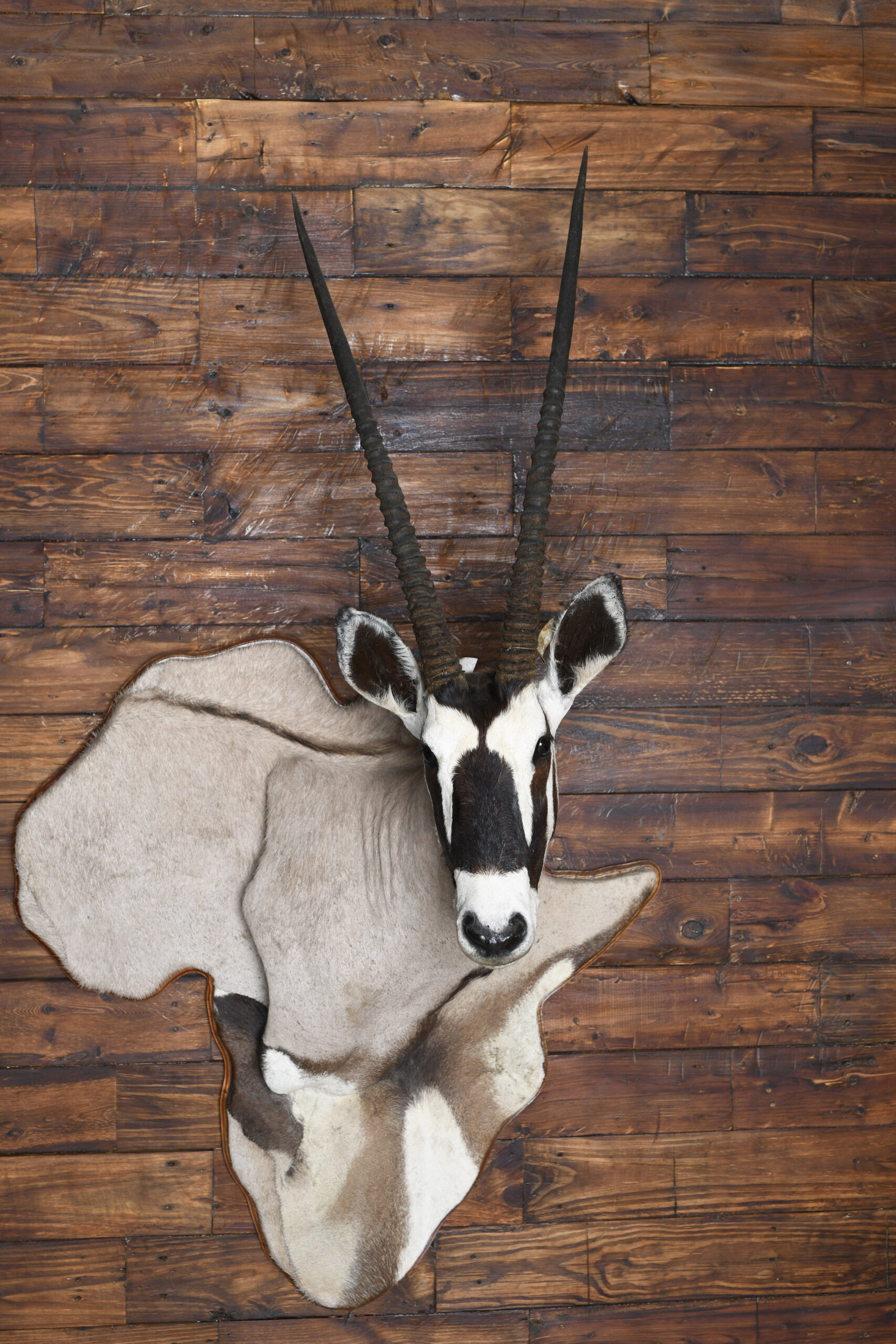 3d-mounts4
