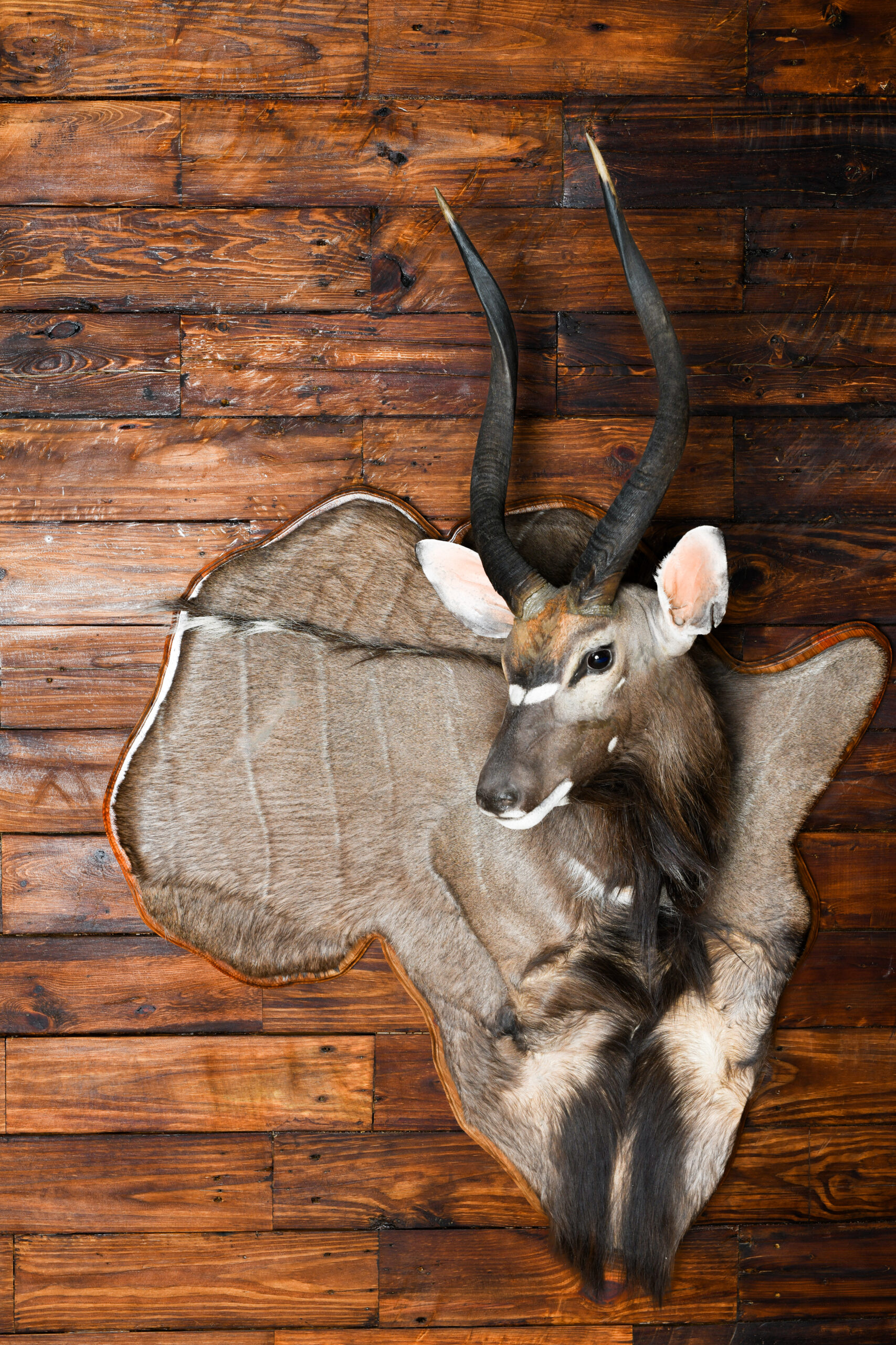 3d-mounts5