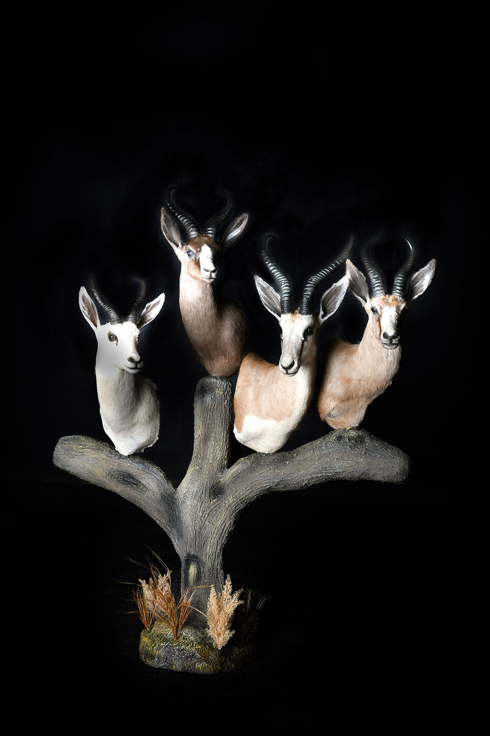 pedestal-mounts34