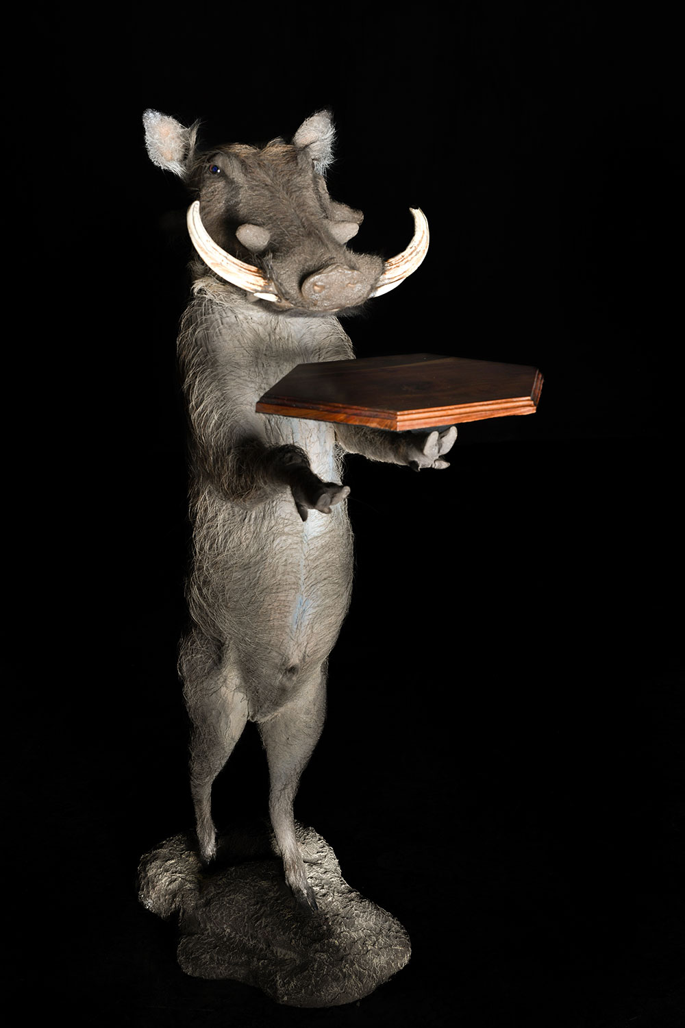 safari-taxidermy-full-mounts35