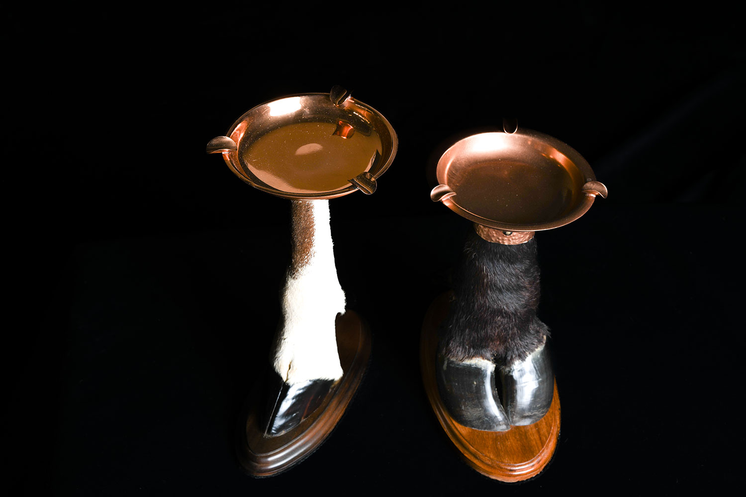 ornamental-skins11