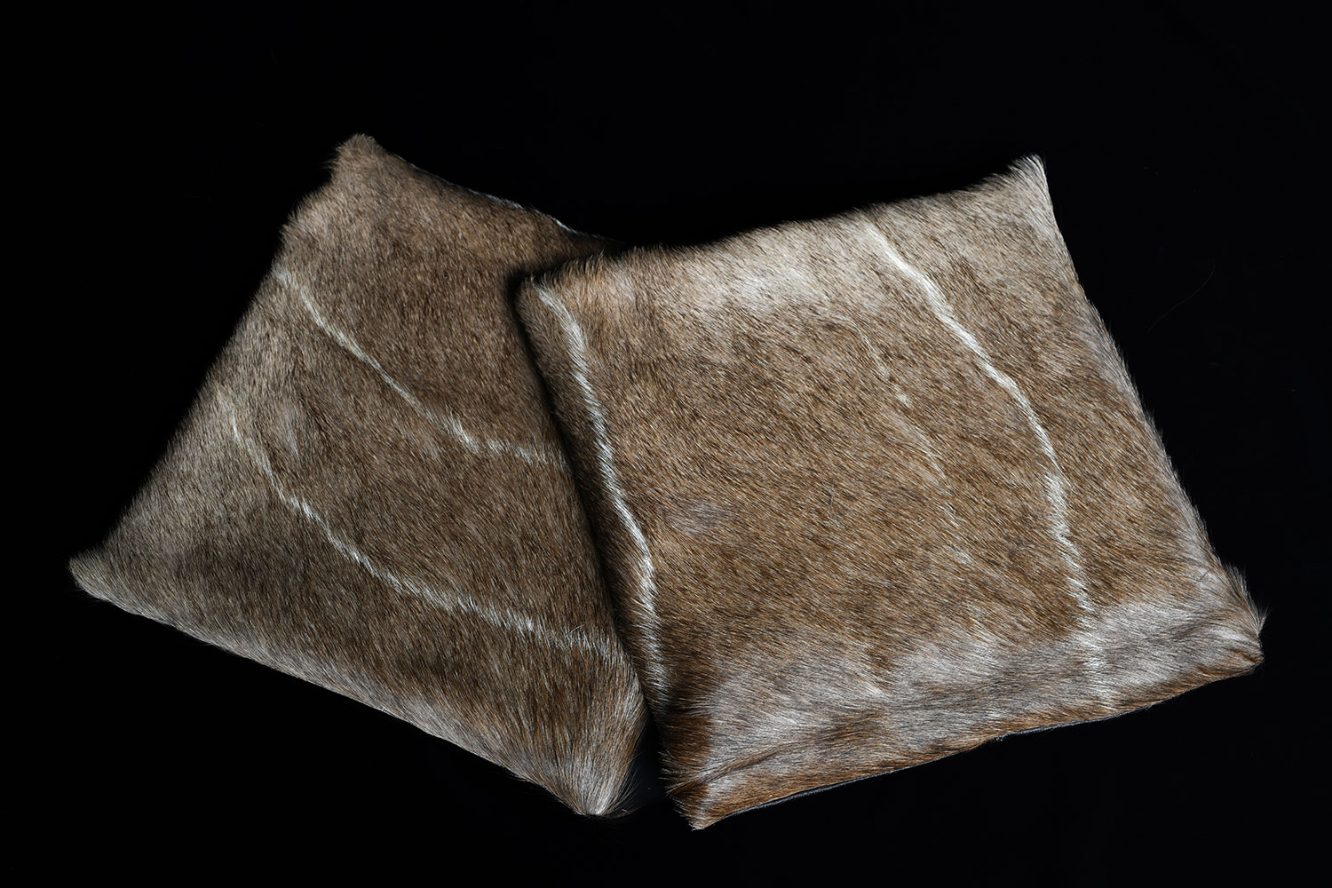 ornamental-skins17