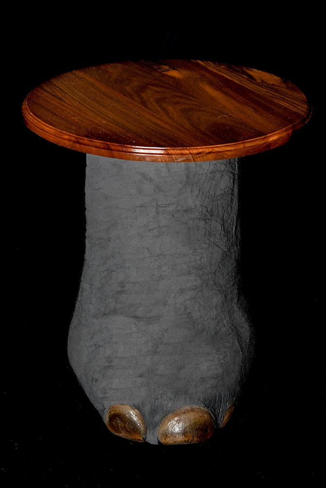 ornamental-skins6