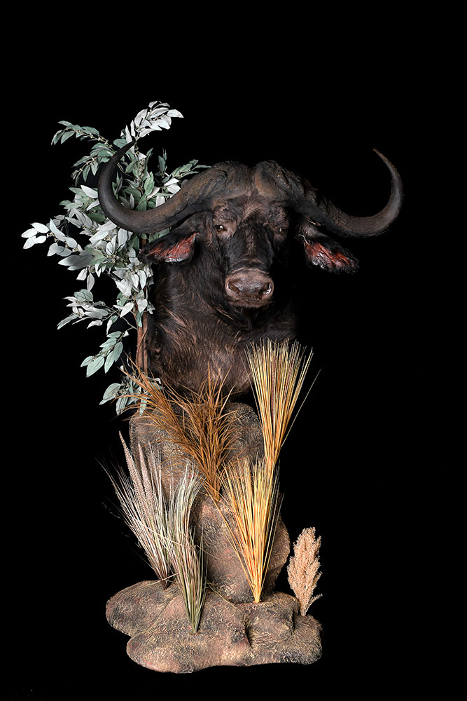 pedestal-mounts7